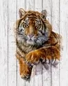 Картины