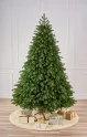 Ель Княжеская, комбинированная, 2,1м